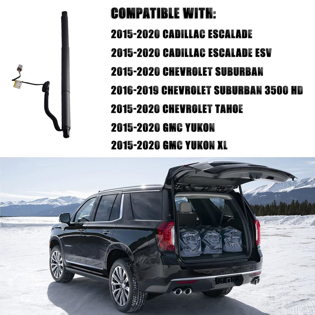 Power Liftgate Strut Rear Left M852