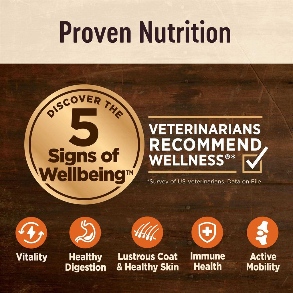 Senior Dry Dog Food E90276
