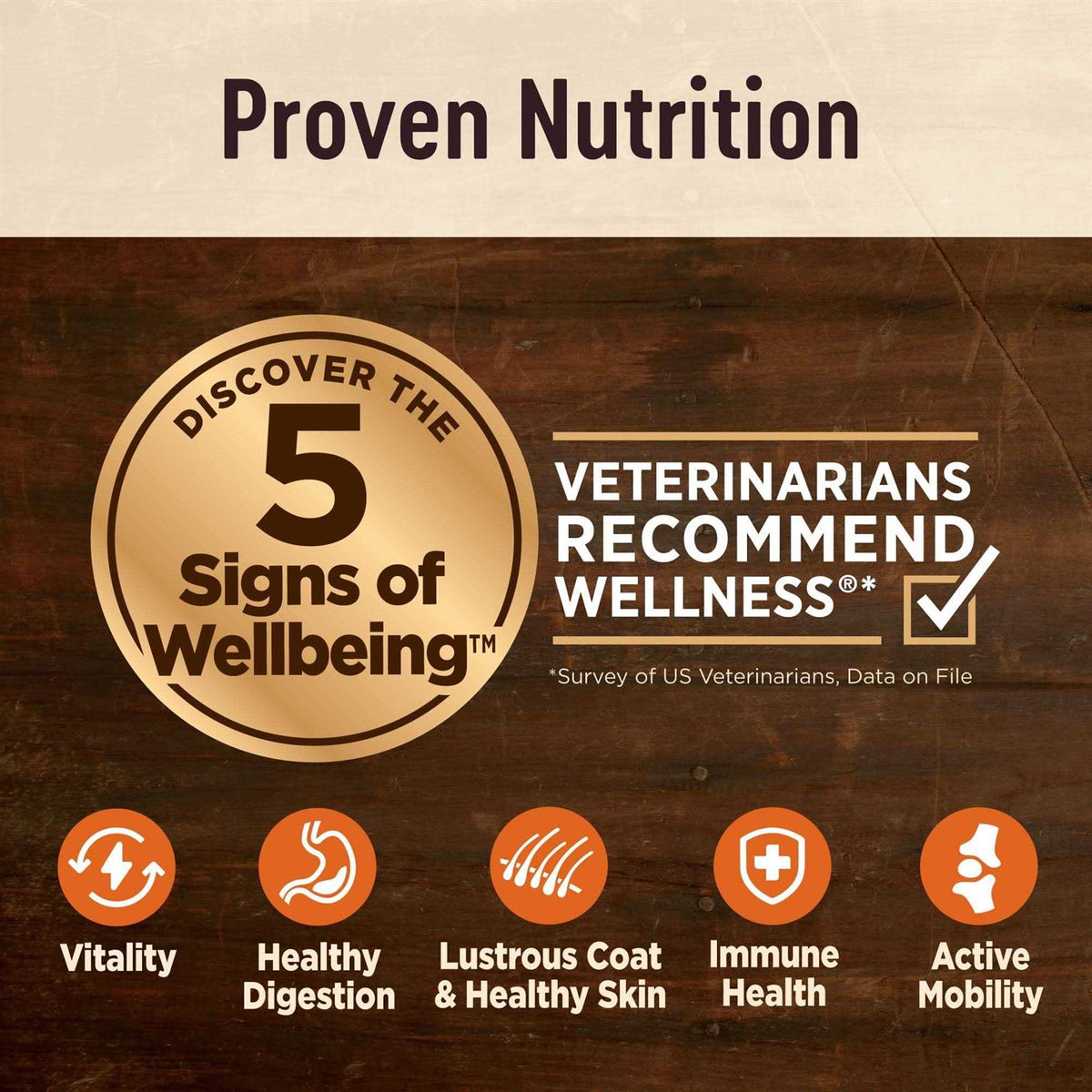Senior Dry Dog Food E90276