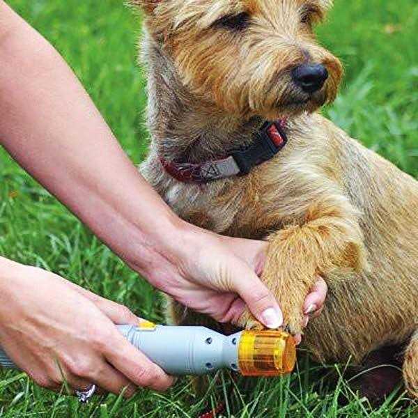 Pet Nail Trimmer B582
