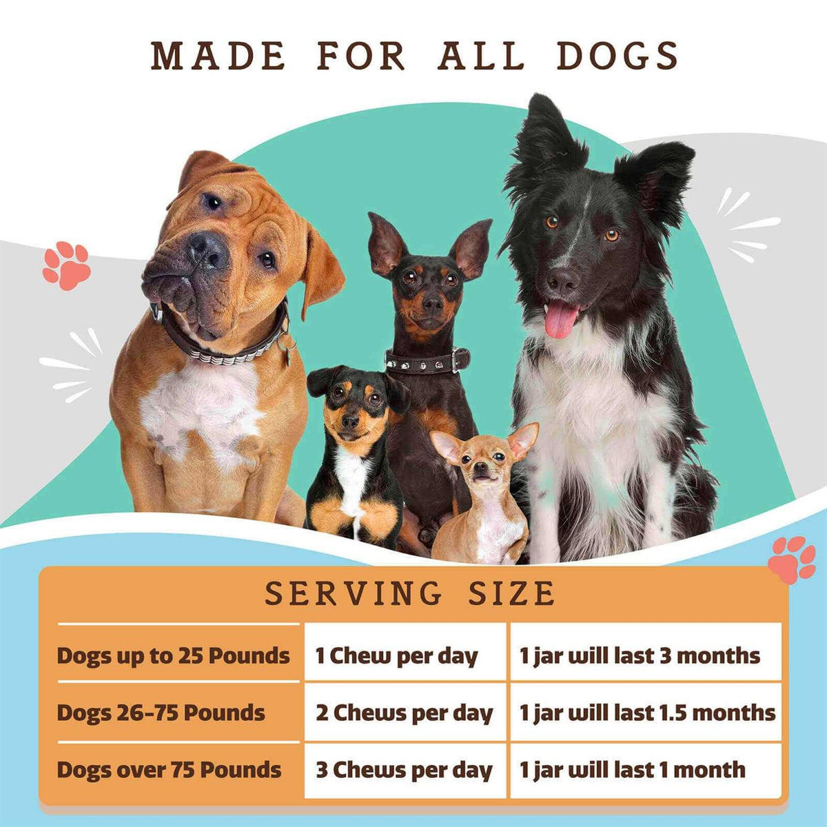 Multivitamin Pet Supplies X792623