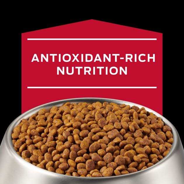 Veterinary Diets Canine Formula Z682
