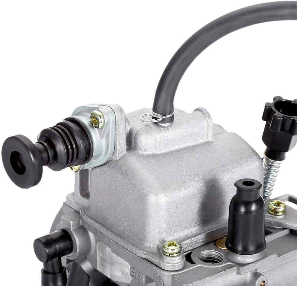Carburetor with Oil Filter and Air Filter, Pack of 2 P9228