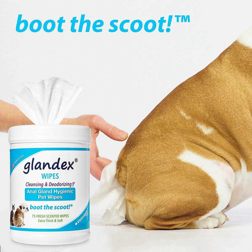 Hygienic Pet Wipes L768877