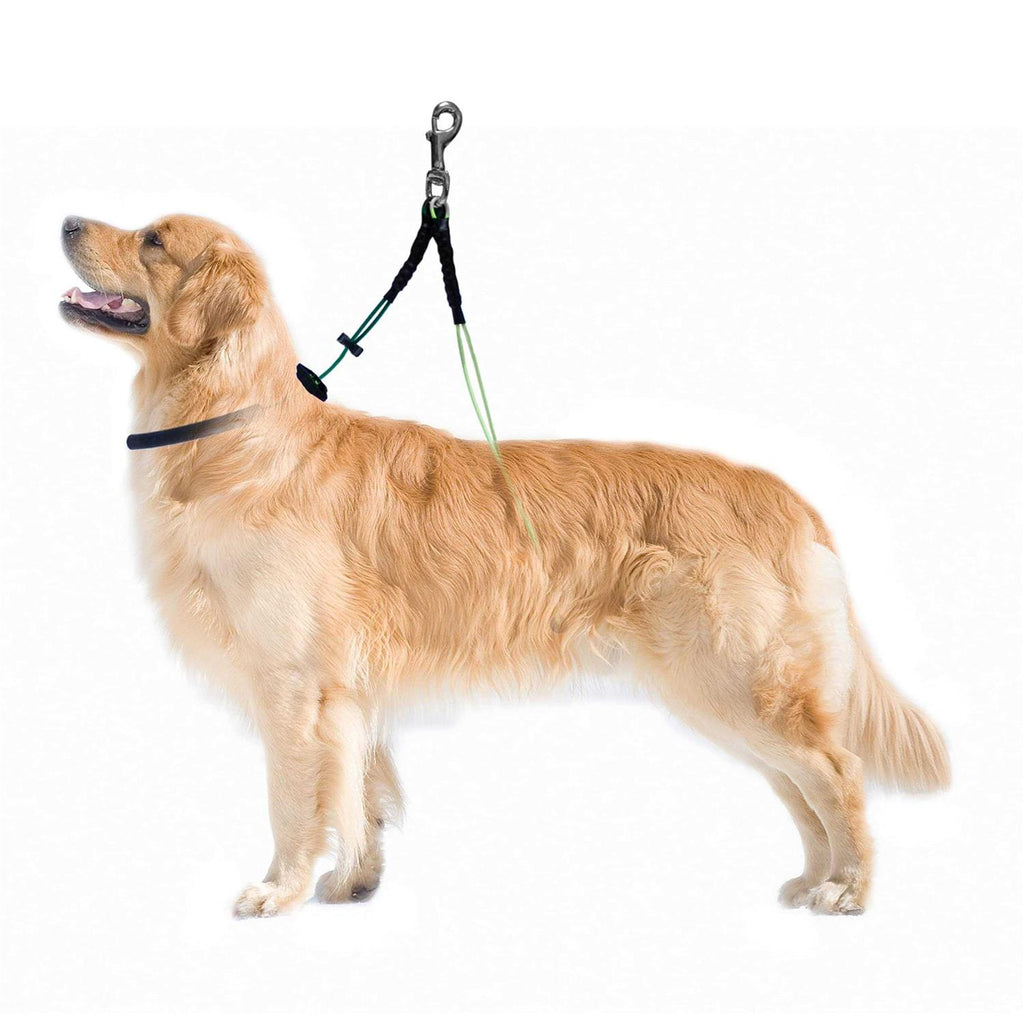 Dog Grooming Restraint B70340