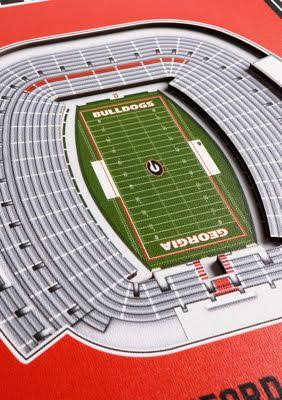 NCAA 3D Stadium Banner 8x32 R419