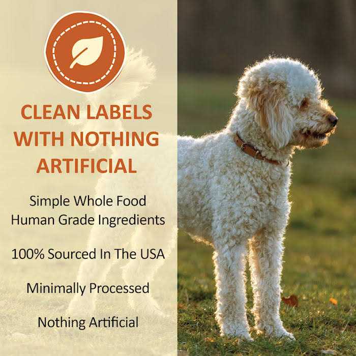 Freeze Dried Pumpkin Powder for Dogs & Cats I721
