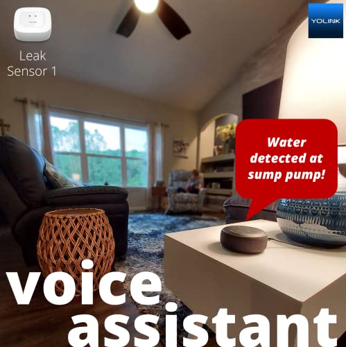 Smart Home Starter Kit: Hub & Water Leak Sensor 4-Pack Z38533