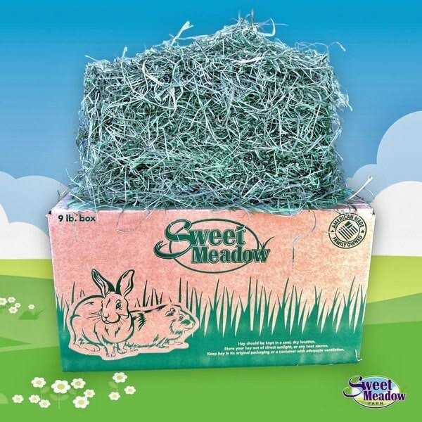 Timothy Hay Small Pet Food B46292