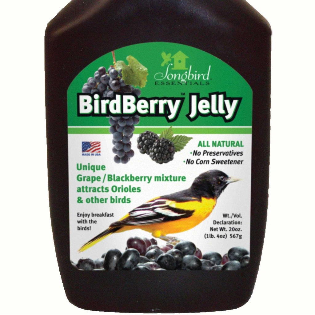 Birdberry Jelly 20 oz G65767