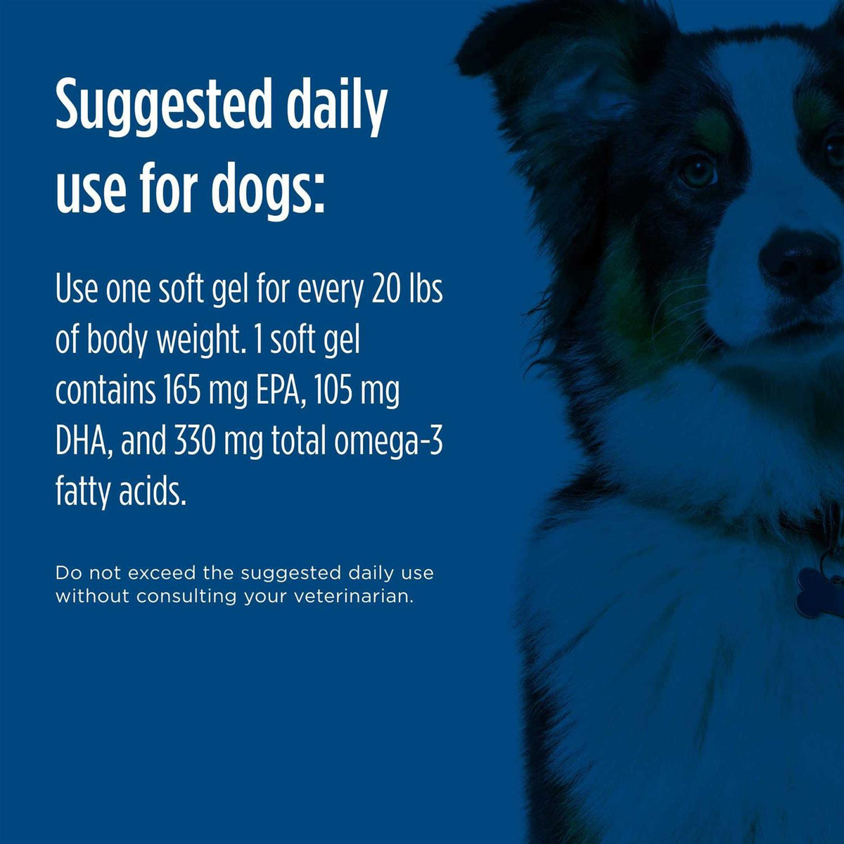 Omega 3 Pet T621