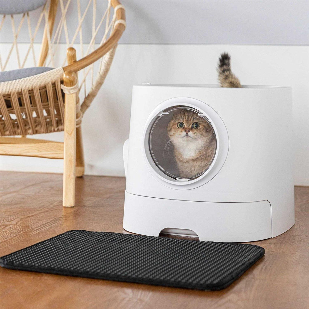 Extra Large Cat Litter Box with Scoop O660307