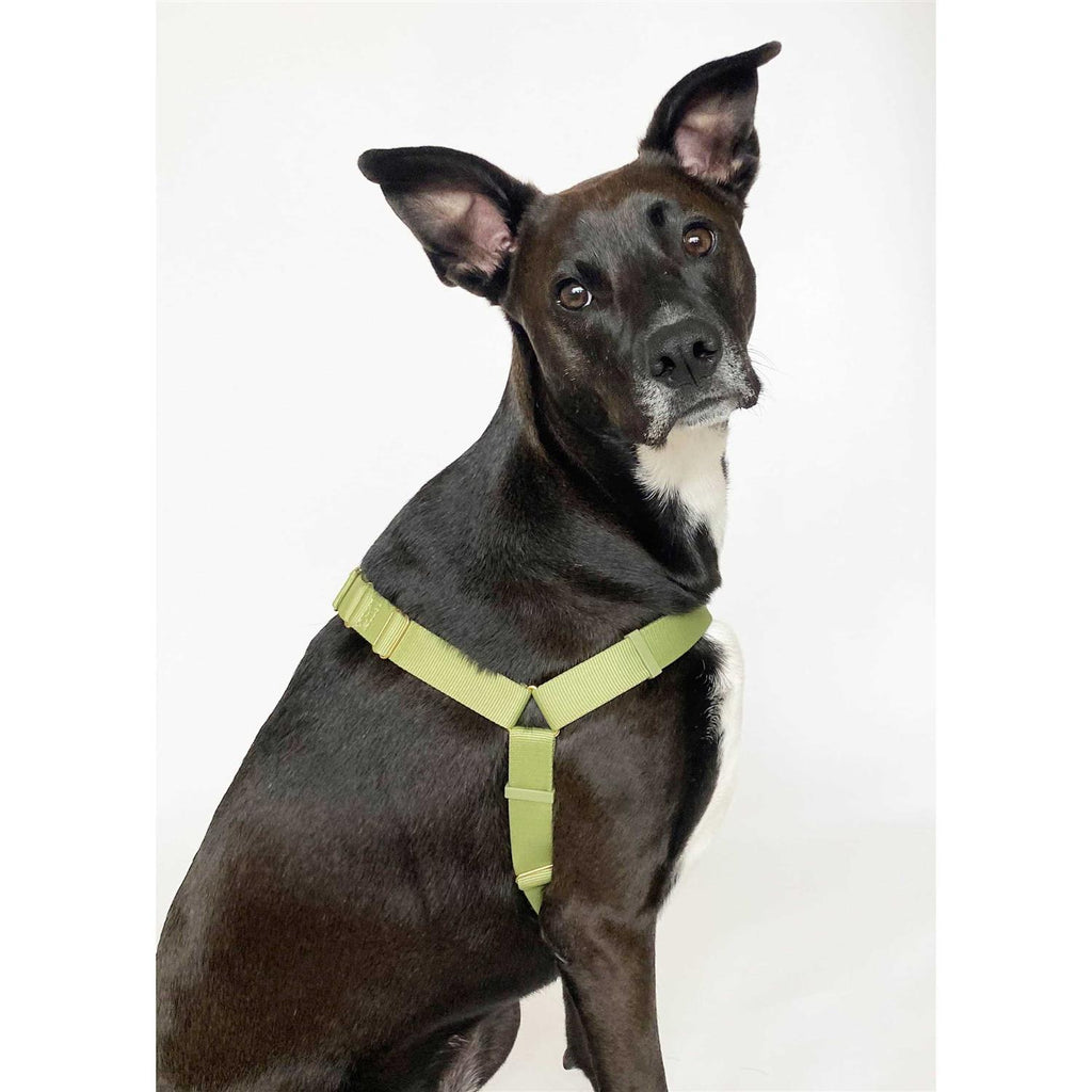 Pet Harness N3192