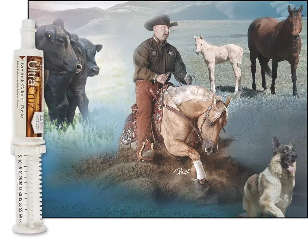 Livestock Calming Supplement 60 ml Paste 6/Pack U310423