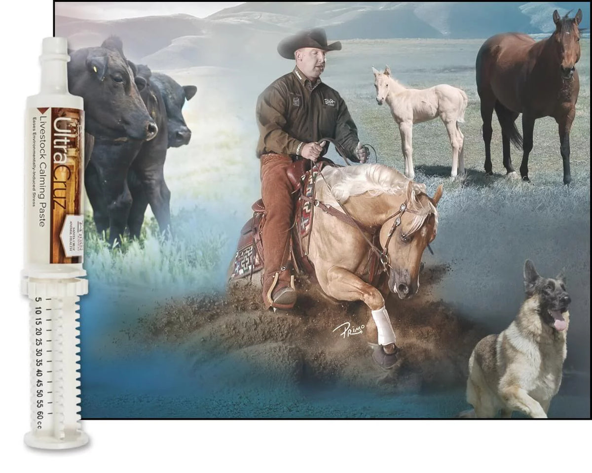 Livestock Calming Supplement 60 ml Paste 6/Pack U310423