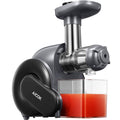 Slow Masticating Juicer I977