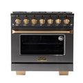 36 5.2 cu. ft. Natural Gas Range in Titanium Stainless Steel S299