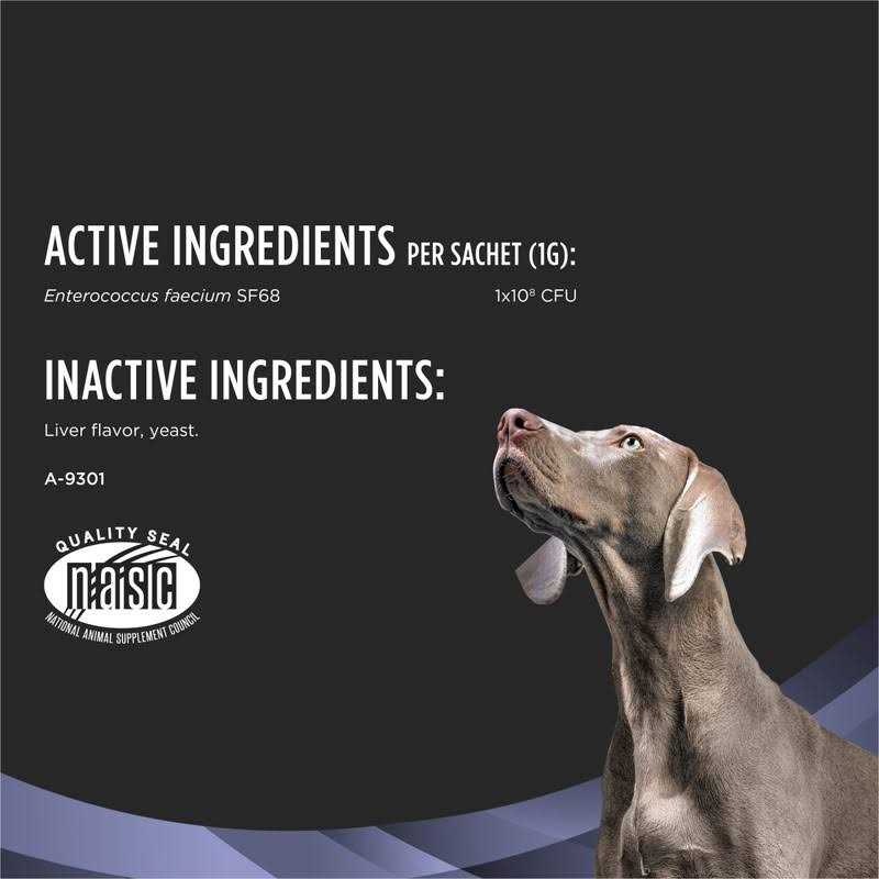 Dog Probiotic Supplement S928827