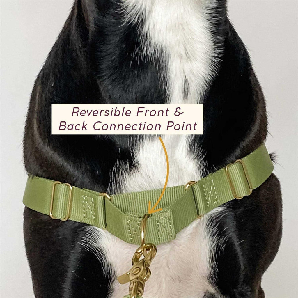 Pet Harness N3192