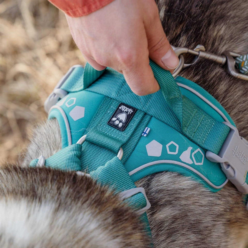 Dog Harness I35616