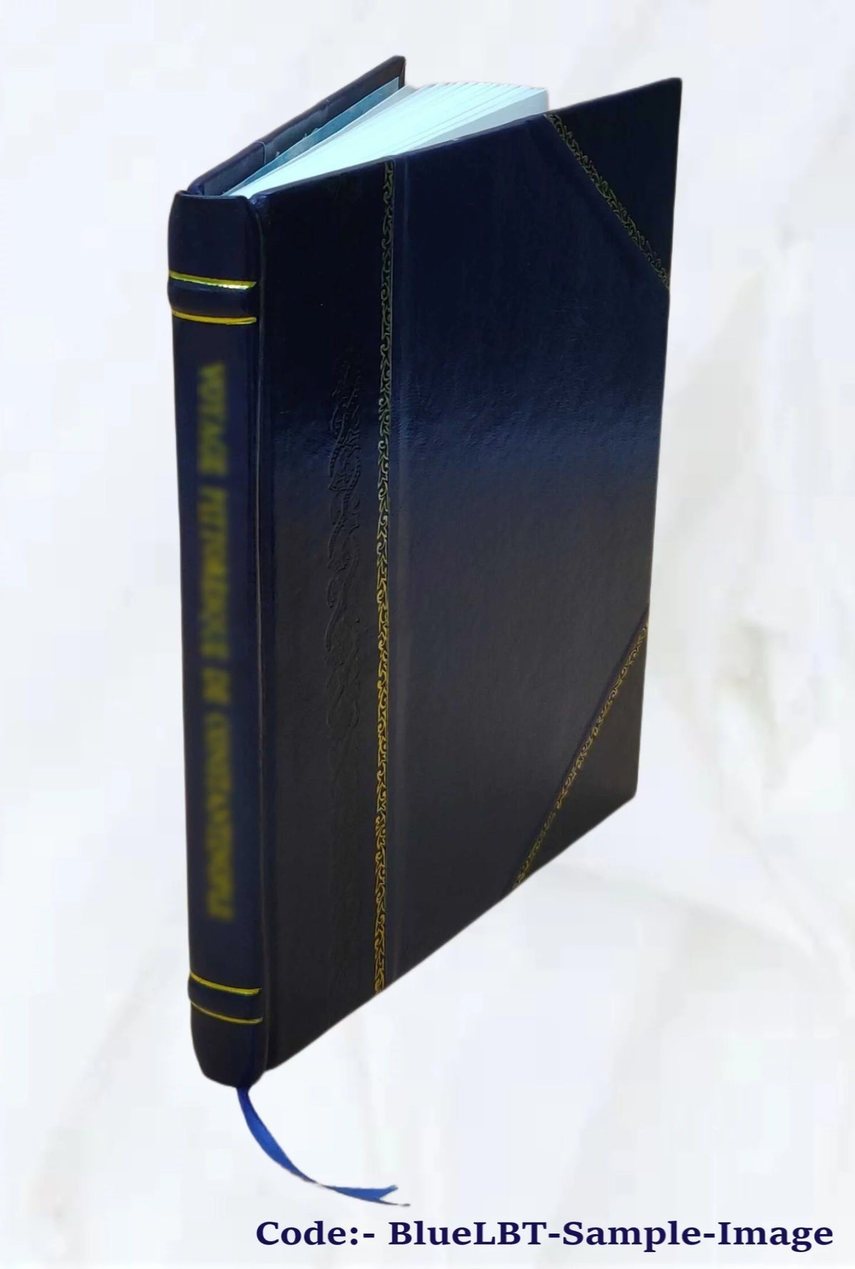 Christianity Faith and Practice Leather Bound Y62214