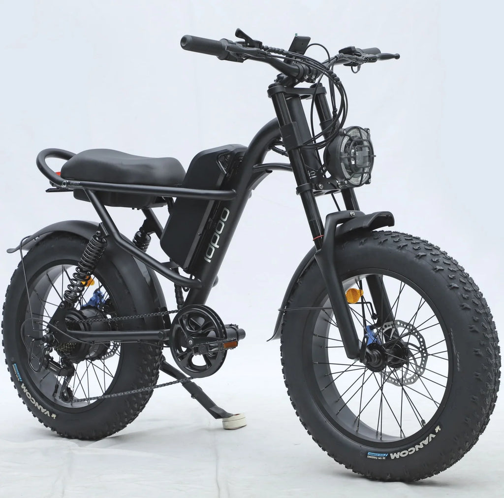 20" x 4.0 Electric Bike with 750W Brushless Motor, 48V 15.6Ah Removable Battery, Shimano 7-Speed Transmission P947068