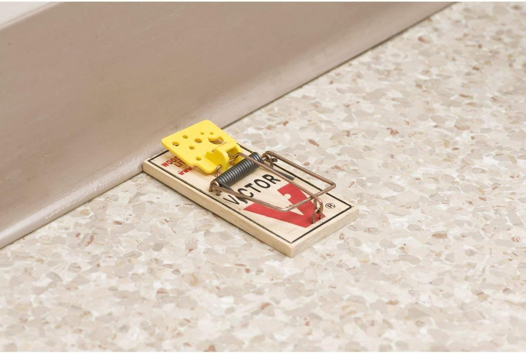 4 Pack Wooden Mouse Trap B138536