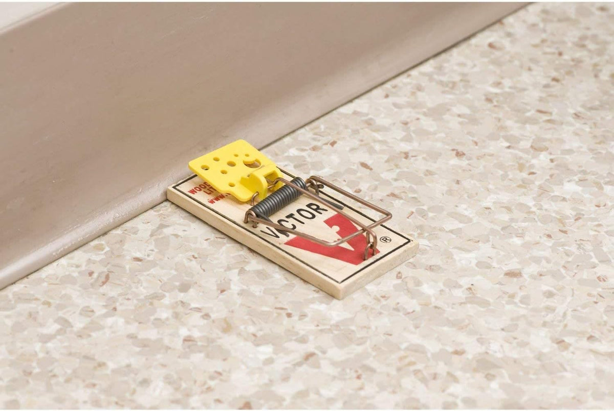 4 Pack Wooden Mouse Trap B138536