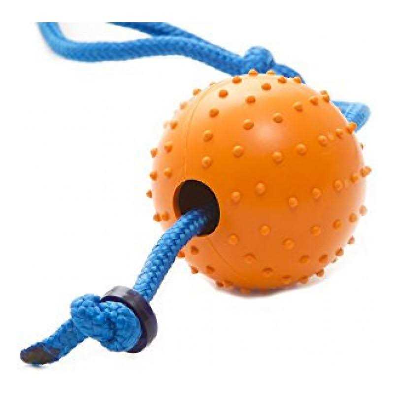 Snitch Pet Squeaker Toy F5471