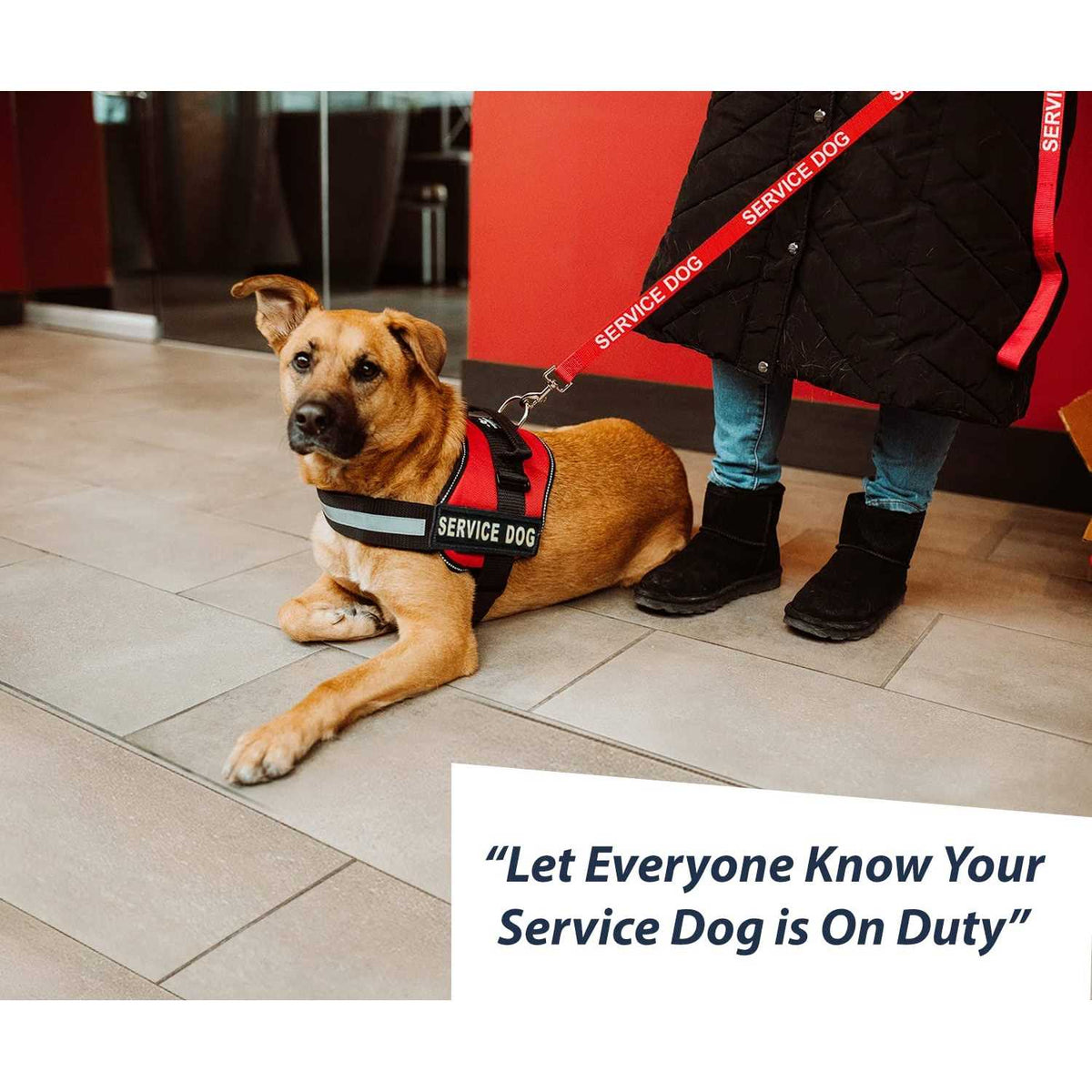 Emotional Support Dog Leash Wrap with Neoprene Handle Y326