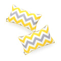 Water Resistant Canvas Lumbar Pillow Cover Set of 2 U90942
