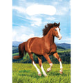 Horse & Pony Favor Bags 8 Pack L772160