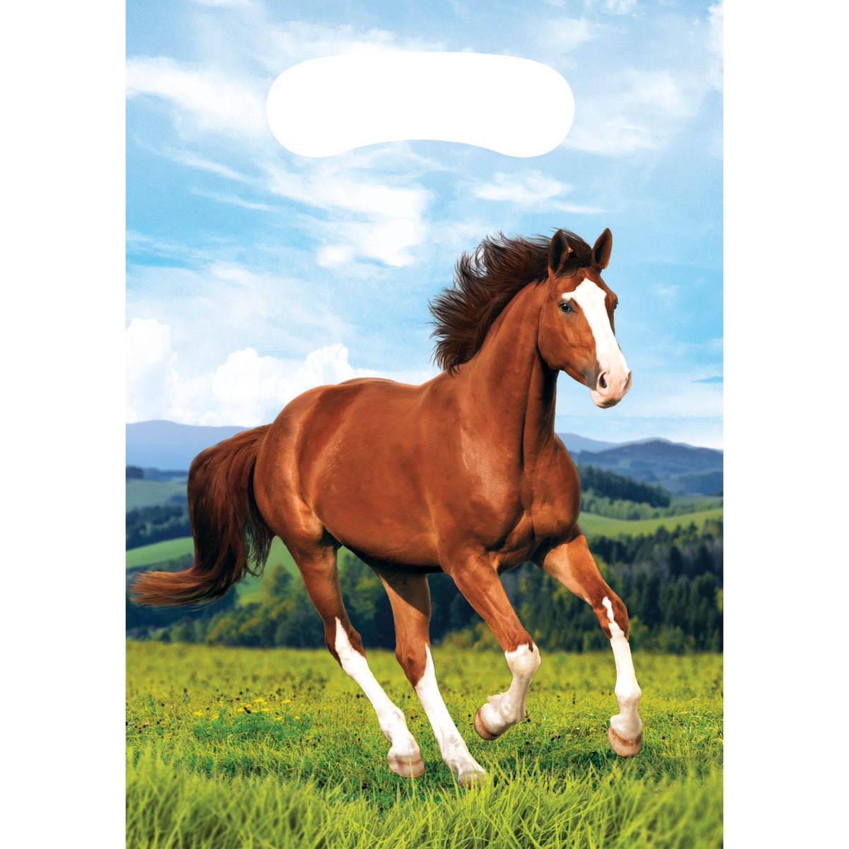 Horse & Pony Favor Bags 8 Pack L772160