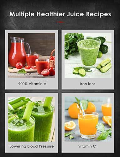 Slow Masticating Juicer I977