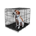Single-Door Folding Dog Crate with Divider F30907