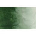 Italian Terra Verte Oil Color 237 ml C7487
