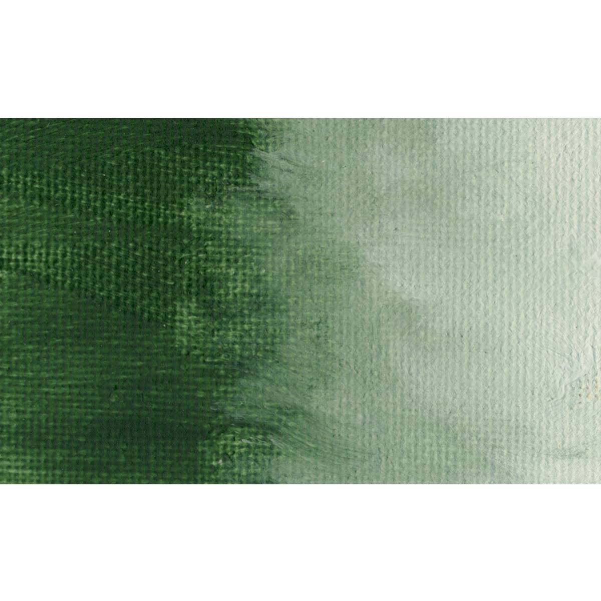 Italian Terra Verte Oil Color 237 ml C7487