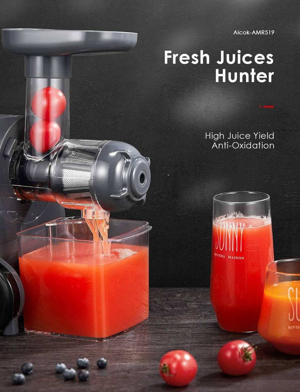 Slow Masticating Juicer I977