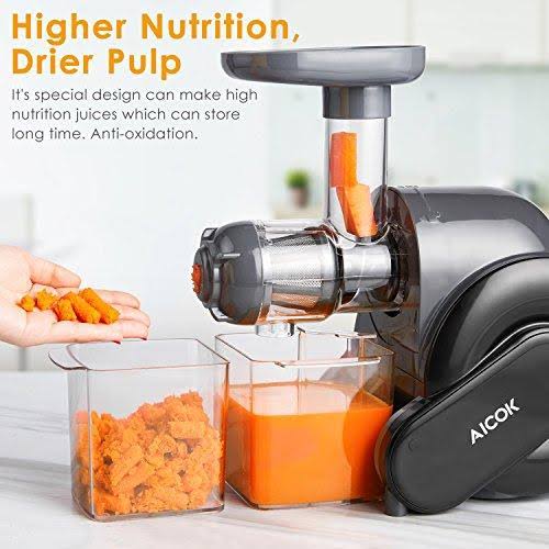 Slow Masticating Juicer I977