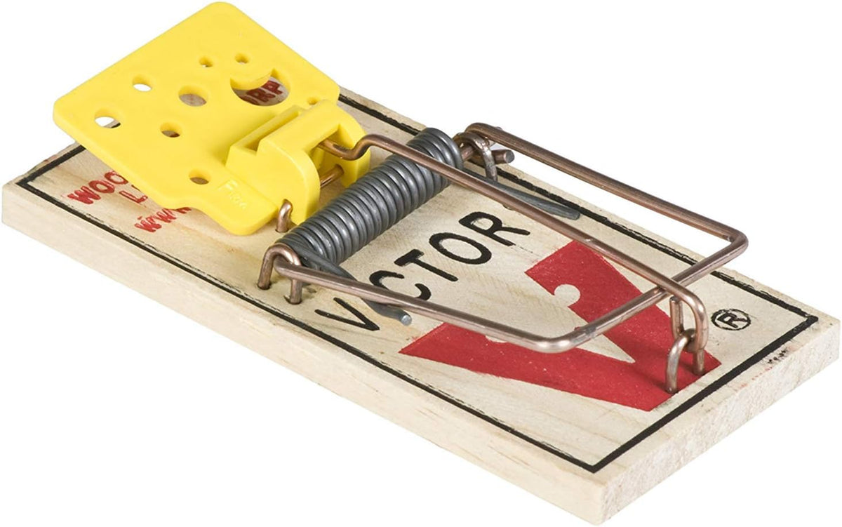 4 Pack Wooden Mouse Trap B138536