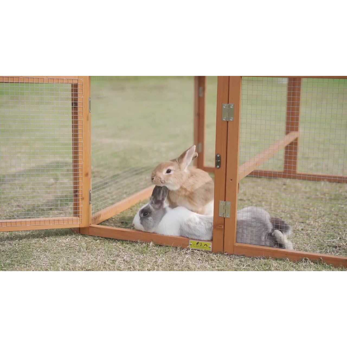 Chicken Coop & Roosting Bar Small Pet Hutch M9379