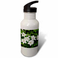 21 oz Sports Water Bottle E4186