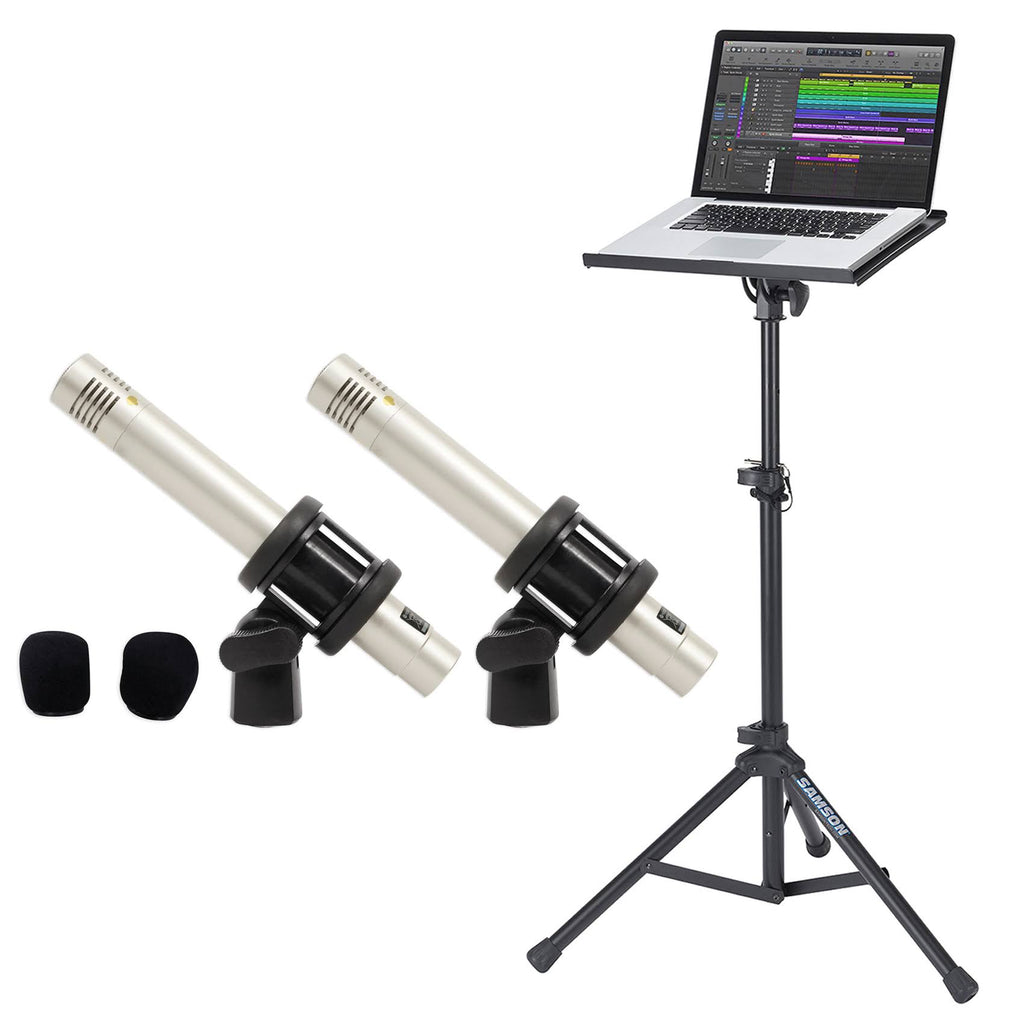 Pencil Condenser Microphones (Pair) R13203