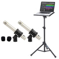 Pencil Condenser Microphones (Pair) R13203