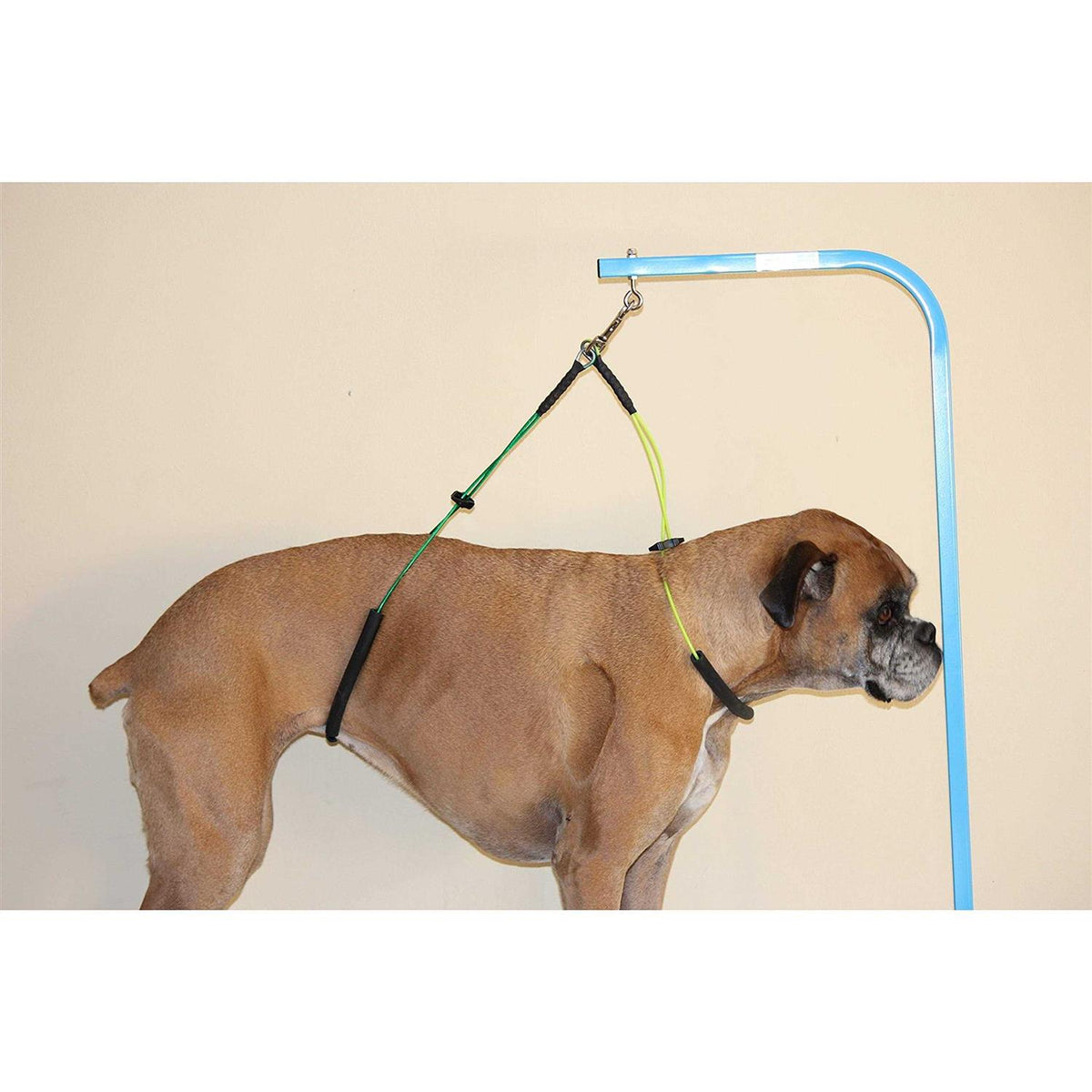 Dog Grooming Restraint B70340
