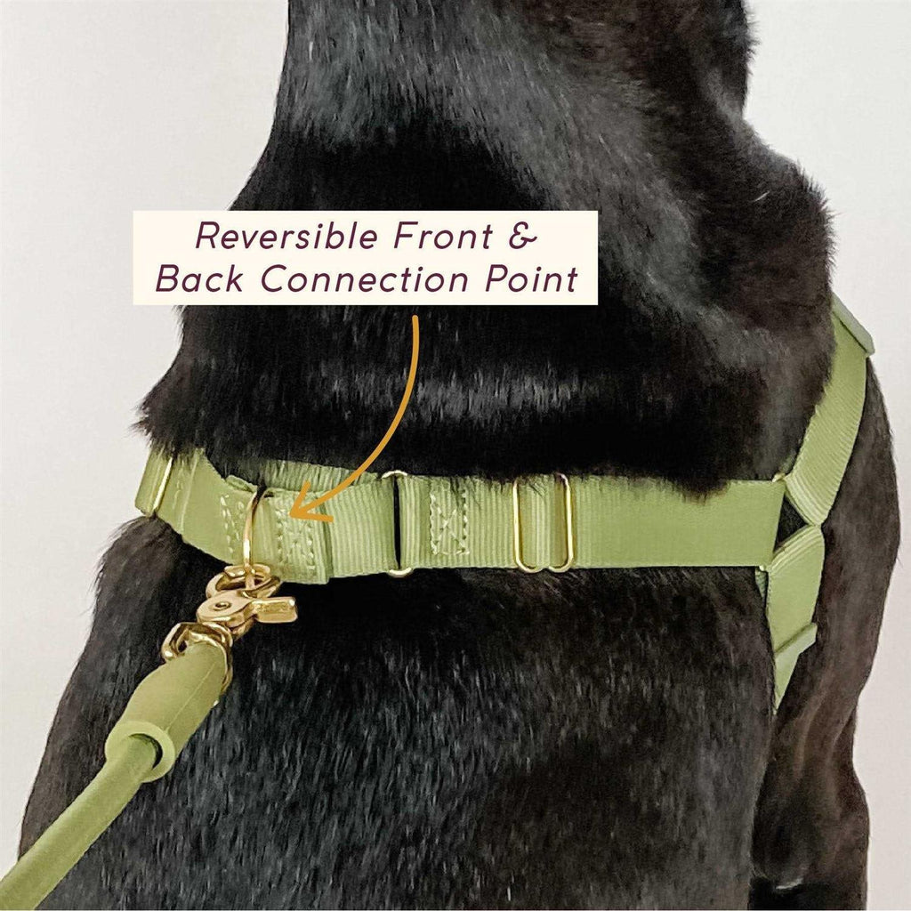 Pet Harness N3192