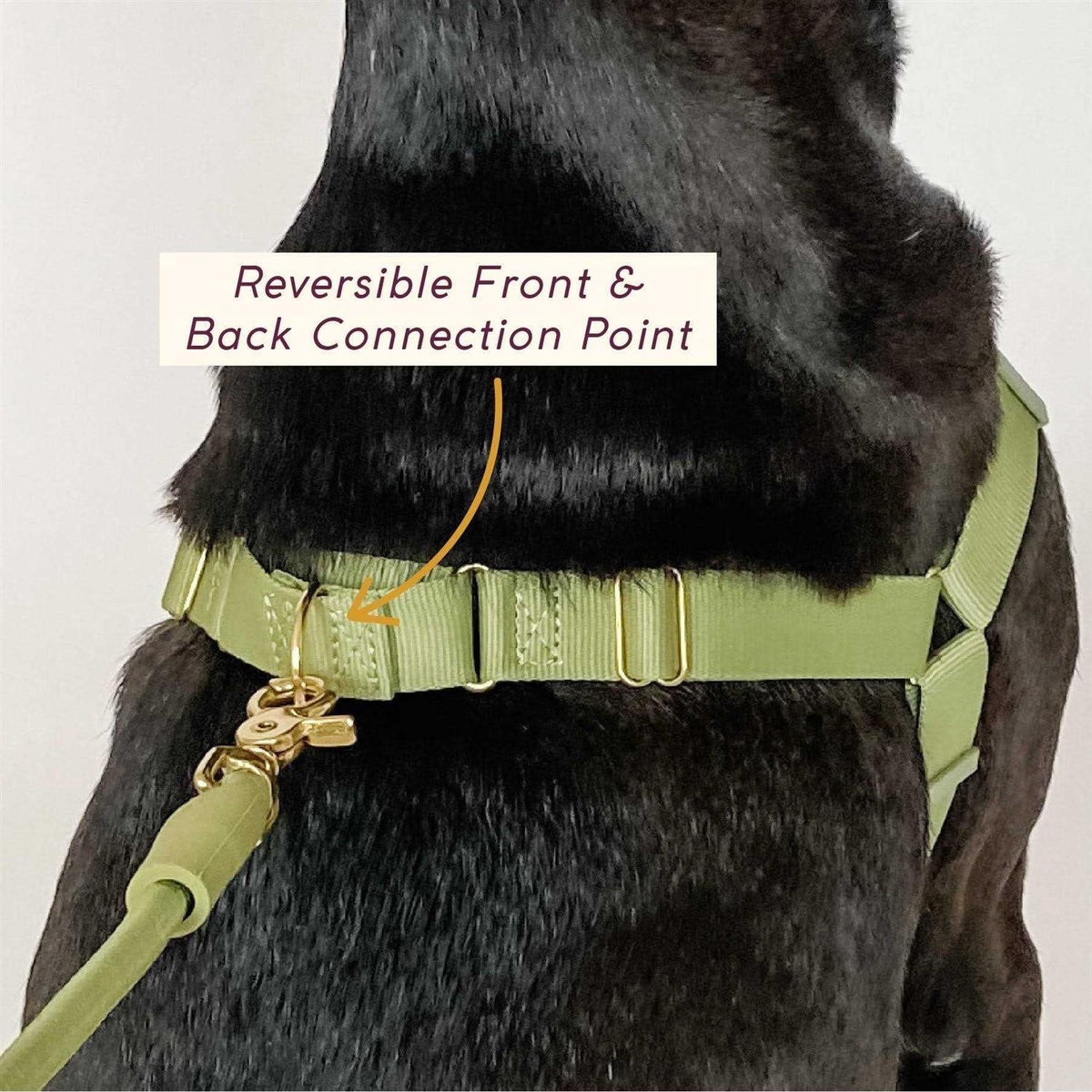 Pet Harness N3192