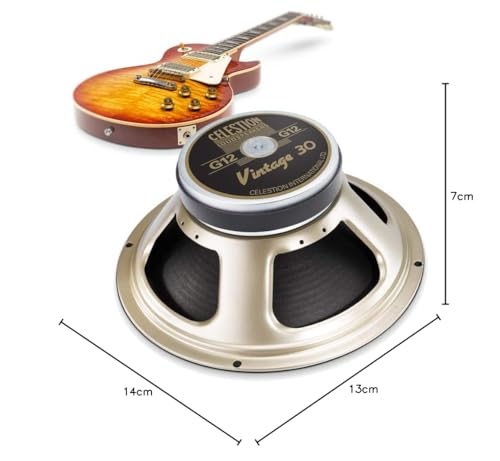 16 Ohm Black Guitar Speaker Z305