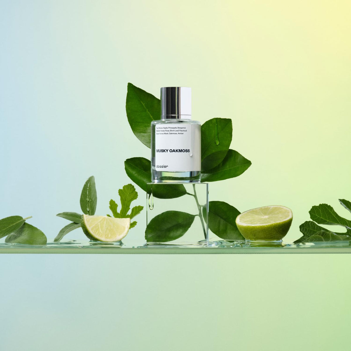Musky Oakmoss Eau de Parfum 1.7 oz Spray 50ml X4616