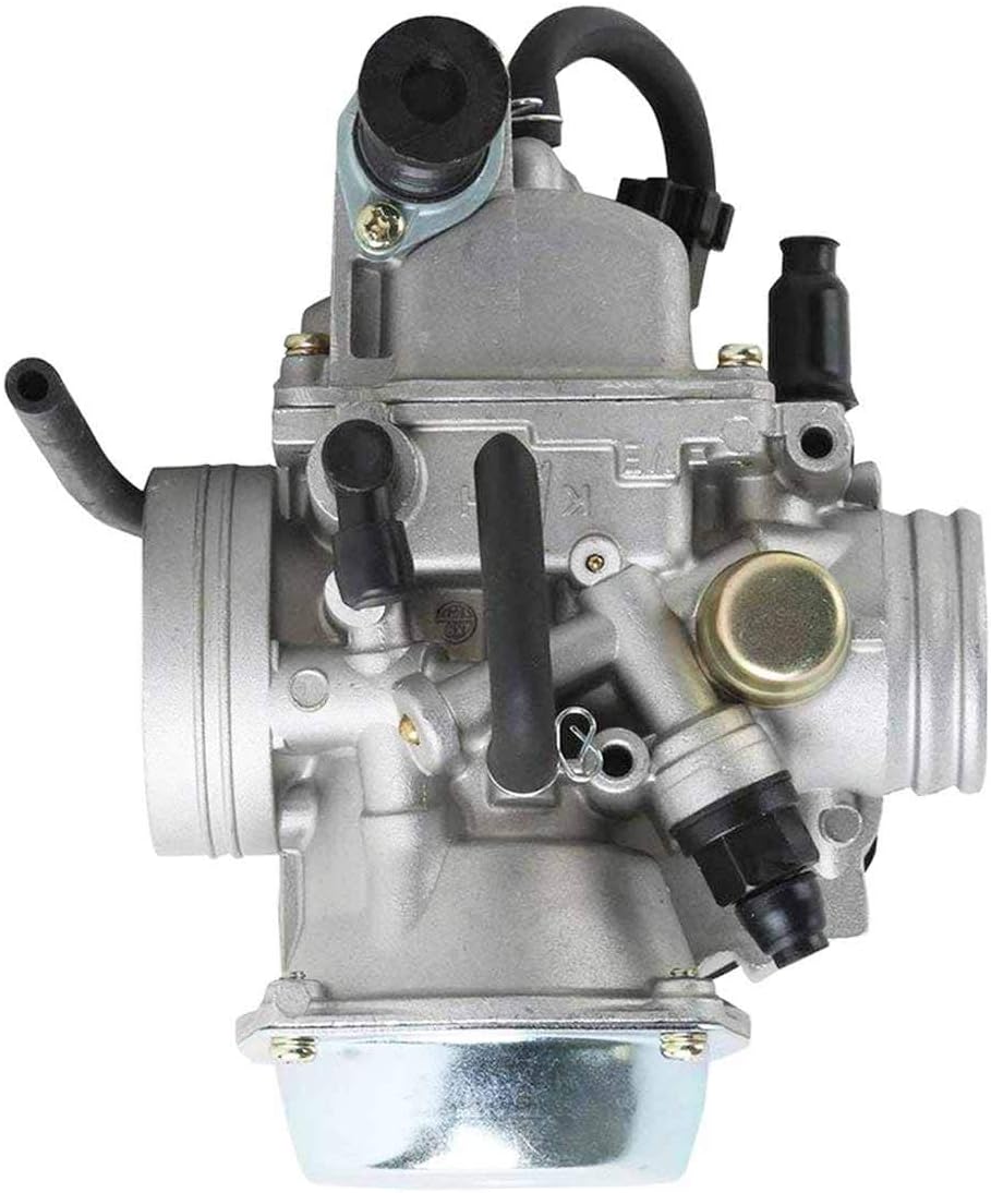 Carburetor with Oil Filter and Air Filter, Pack of 2 P9228
